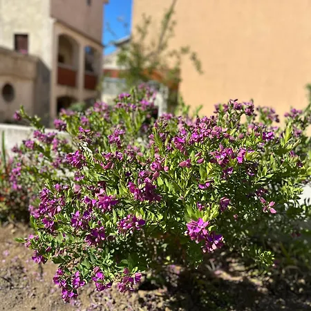 Apartman Ivano & Leo - Private Parking